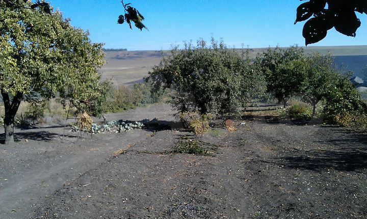 Участок 22 сот. (ИЖС)