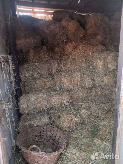 Сено в тюках