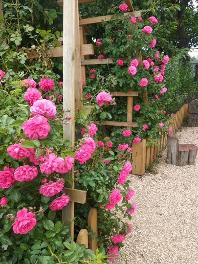 Комната 16 м², 1/1 эт.