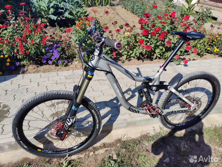 Kona entourage deluxe, L