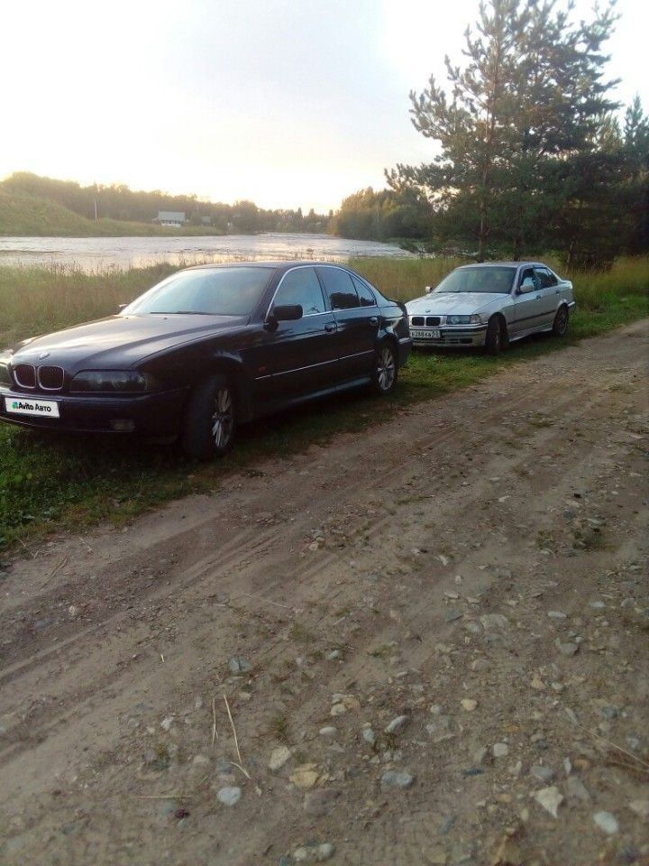 BMW 5 серия: фото владельца