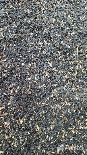 Уборка урожая комбайн