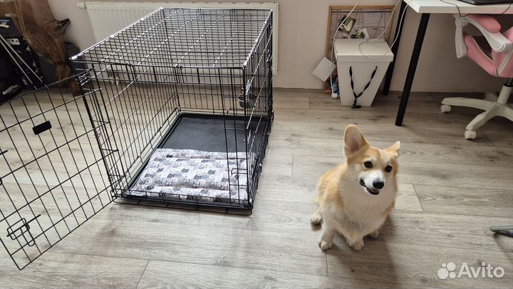 Вольер для собак