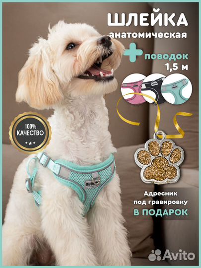 Шлейка для собак мелких и средних пород