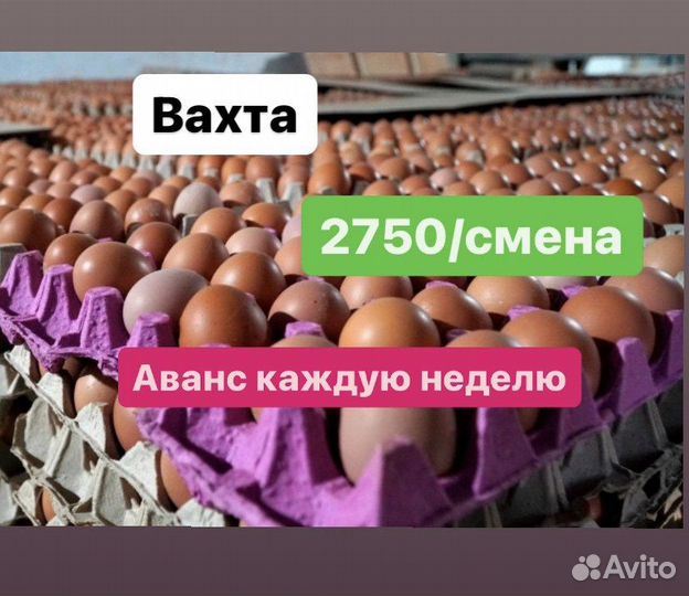Упаковщик на производстве вахта