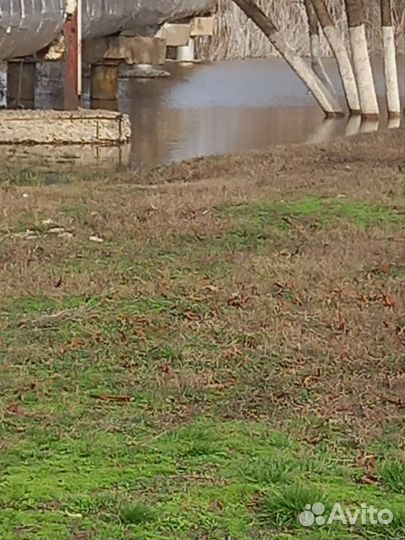 Банки трехлитровые