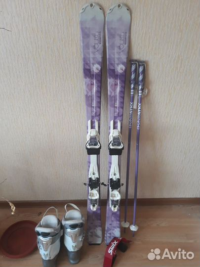 Горные лыжи