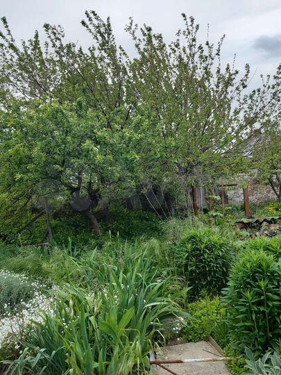 Участок 13 сот. (ИЖС)