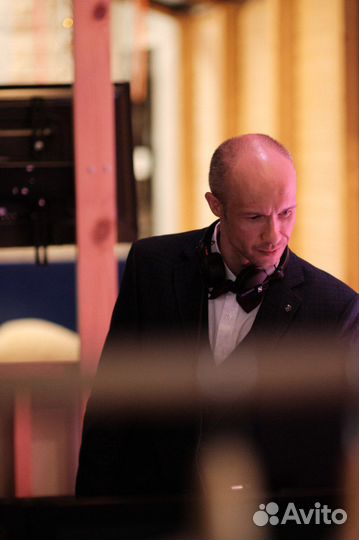 Диджей+ведущий