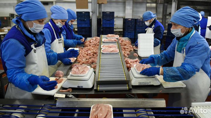 Вахта/г.Шахты/Семейное проживание/Проезд