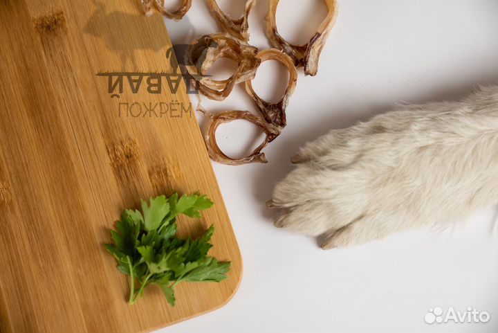 Еда для собак