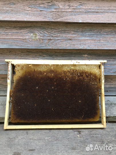 Рамки для ульев сушь