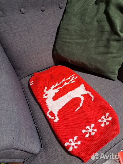 Новогодний свитер для вашего питомца