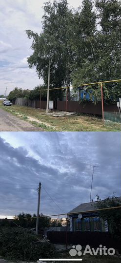 Обрезка и спил деревьев