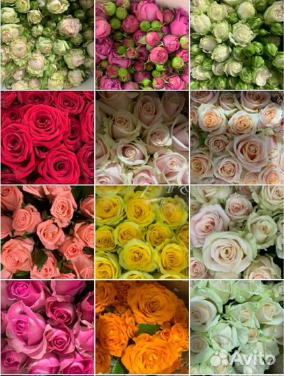 Розы, свежие цветы оптом и в розницу
