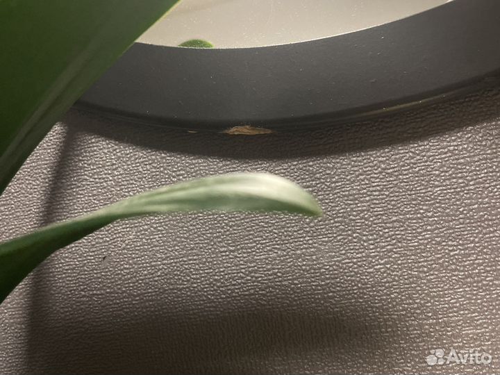 Зеркало круглое 60 см