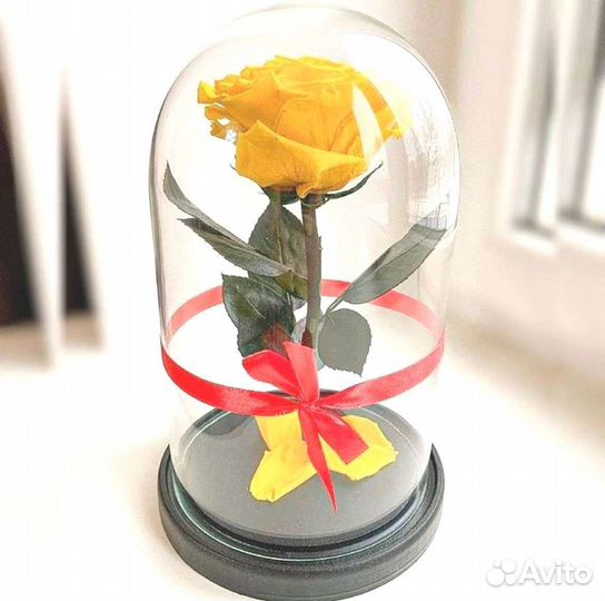 Роза в колбе. С гарантией