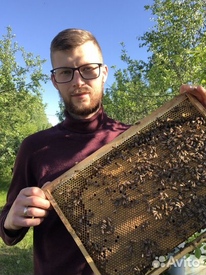 Пчелопакеты и матки карпатка. Вывод: Калязин