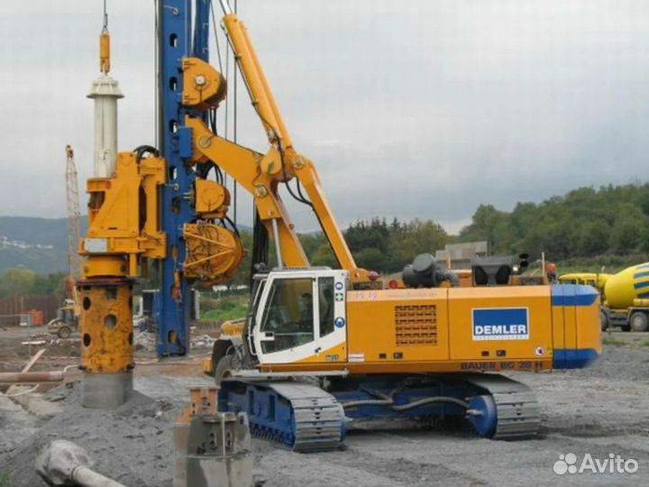 В разборе Бауэр Bauer