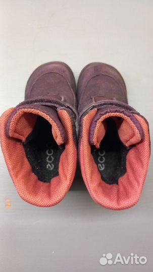 Ecco 25 (Gore-tex)