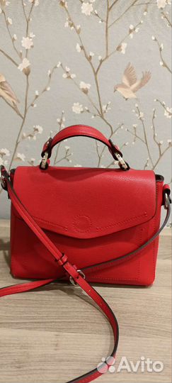 Самка Zara