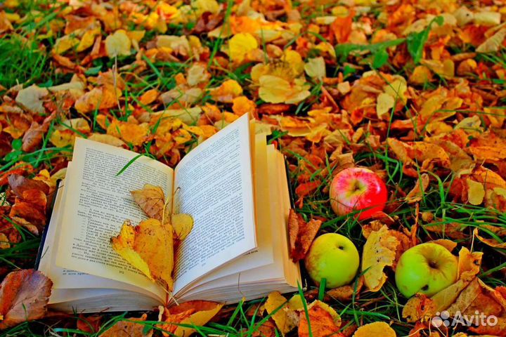 Русский язык и Литература, огэ, егэ