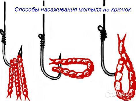 Мотыль для рыбалки