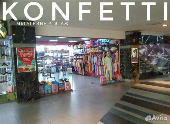 Котик с авокадо