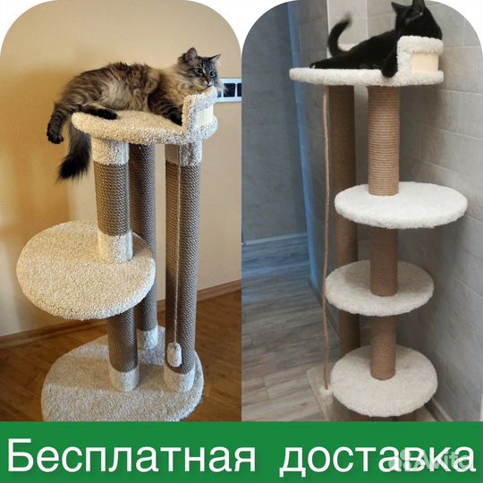 Когтеточка для кошки