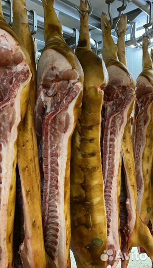Высший сорт фермерской свинины в полутушах/разруб