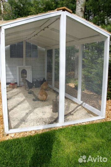 Курятник на 15-20 кур зимний