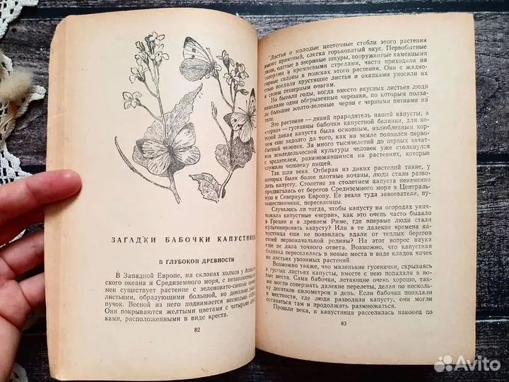 Щербиновский. Шестиногие враги и друзья 1951 г