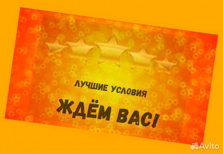 Сортировщик Еженедельный аванс Спецодежда М/Ж