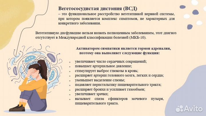 Школьные проекты на заказ