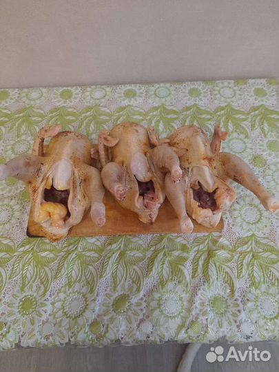 Домашние куры