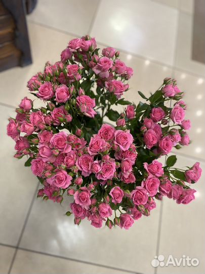 Роза кустовая