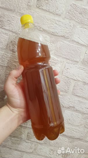 Домашняя пивоварня с тэном