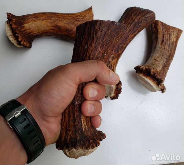 Рог для рукоятей ножей