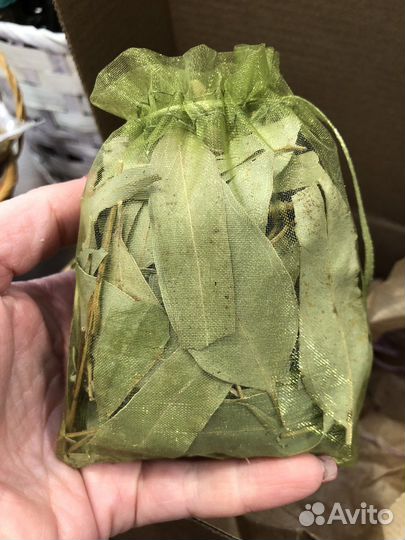 Травы для бани запарка