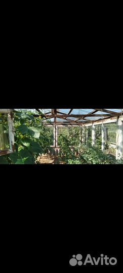 Профнастил пэт