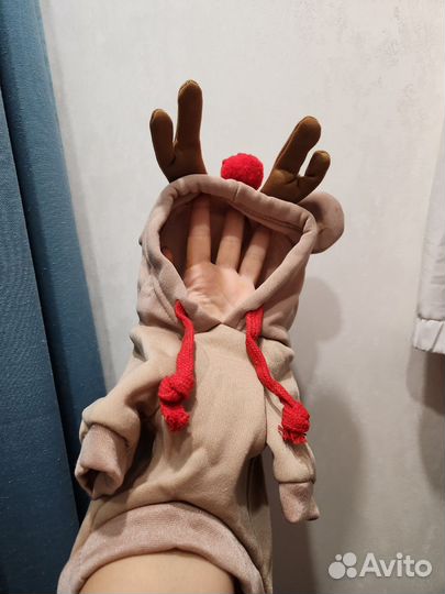 Комбез для маленькой собачки