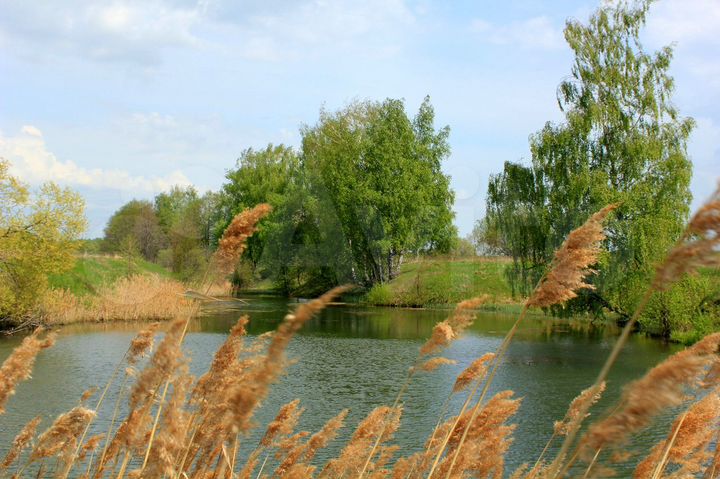 Участок 16,2 га (промназначения)