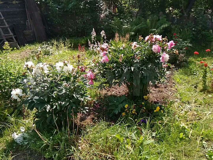 Дом 30 м² на участке 10 сот.