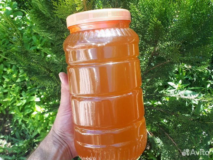 Мёд Башкирский