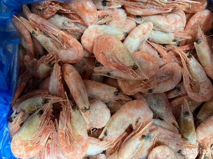 Креветки,морской гребешок,мидии