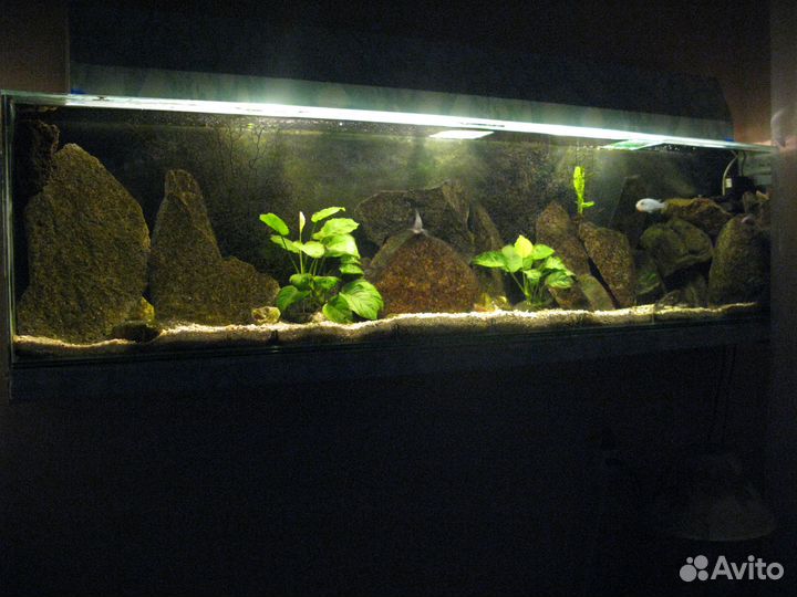 Аквариум 150х40х20 б/у