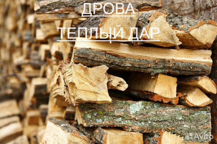 Дрова сухие