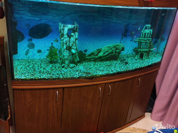 Аквариум 600 литров