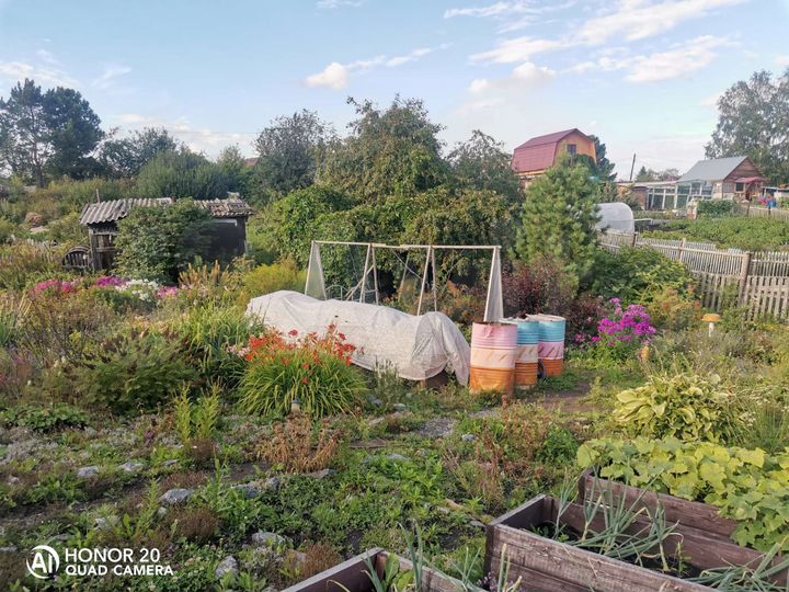 Дача 30 м² на участке 12 сот.