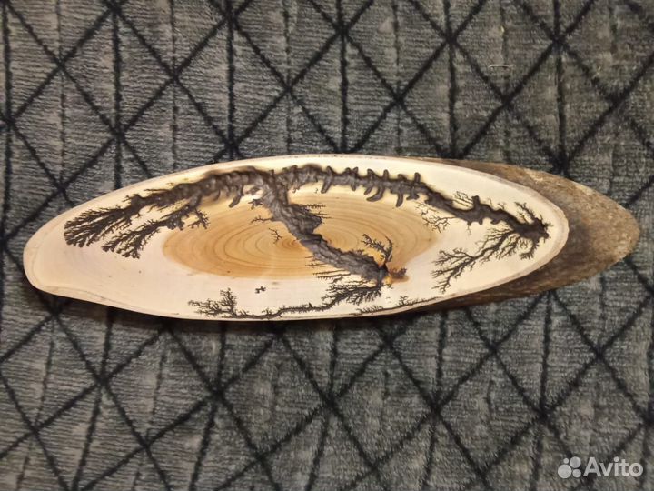 Декоративный спил на стену из дерева(черёмуха)